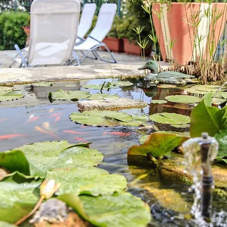 Bed & Breakfast Il Cappero Ceriale