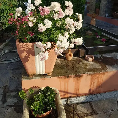 Il Cappero