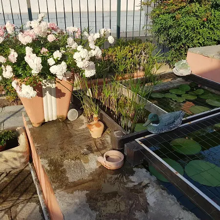 Il Cappero Bed & Breakfast
