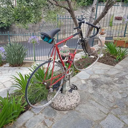 Il Cappero Ceriale